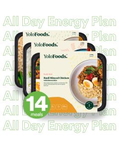 All Day Energy Plan