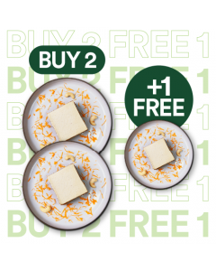 [B2F1 Promo] Carrot Cake with Cashew Frosting Slice