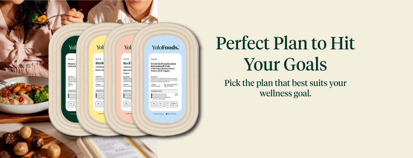 YoloPlans-Perfect-Plan-1440x550